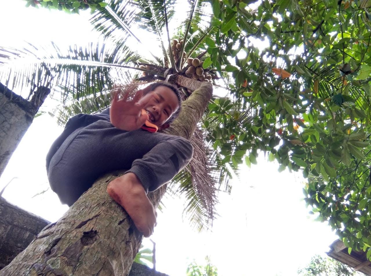 7 Alasan Memilih Taman Kanak-kanak di Sekolah Alam Indonesia